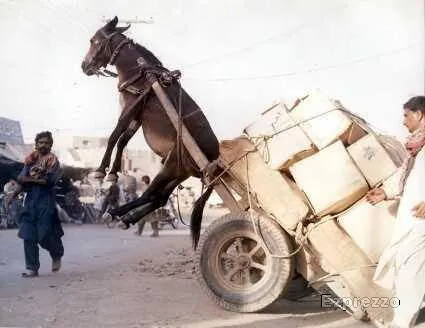 How to handle the load ?